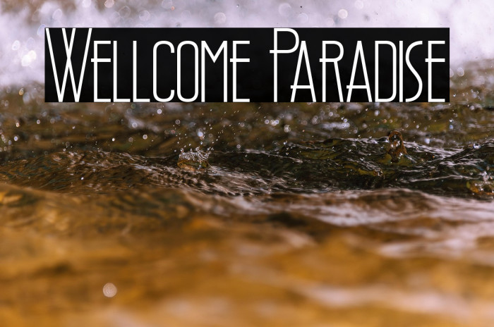 Wellcome Paradise Example 2