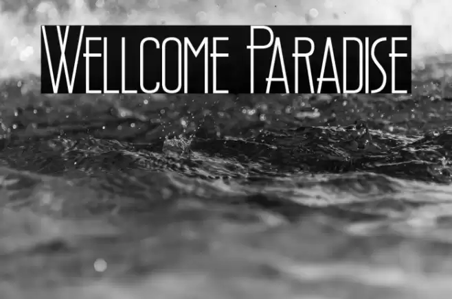 Wellcome Paradise Font examples