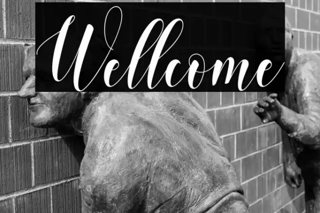 Wellcome Font examples