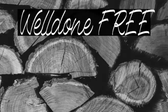 Welldone FREE Font examples