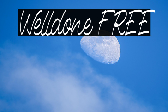 Welldone FREE Example 3