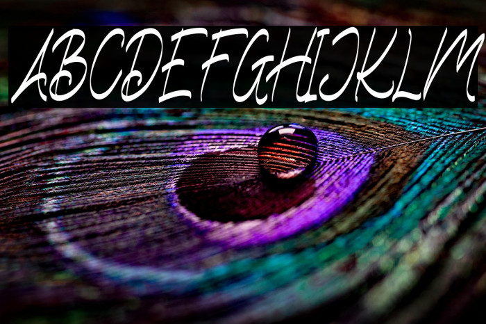 WelldoneFREE Example 3