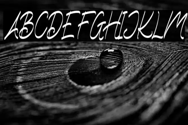 WelldoneFREE Font examples