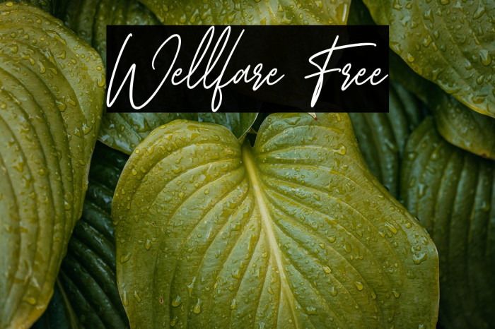 Wellfare Free Example 1