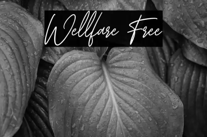 Wellfare Free Font examples