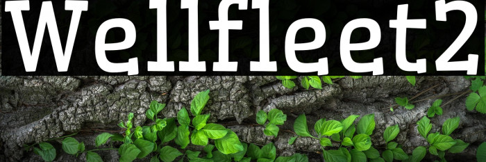 Wellfleet2 Example 1