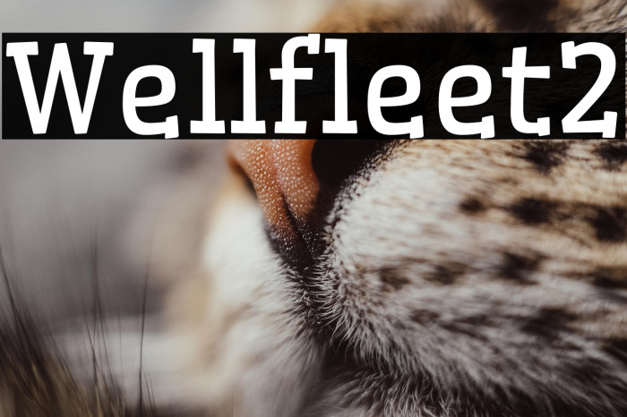 Wellfleet2 Example 2