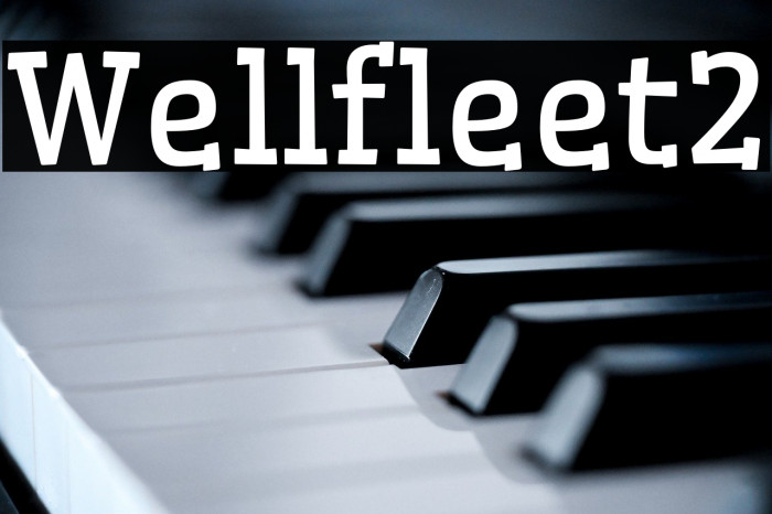 Wellfleet2 Example 3