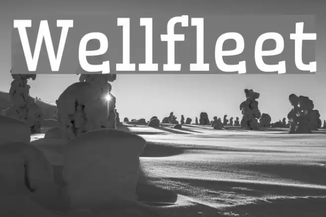 Wellfleet Font examples