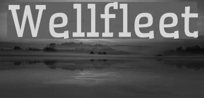 Wellfleet Font examples