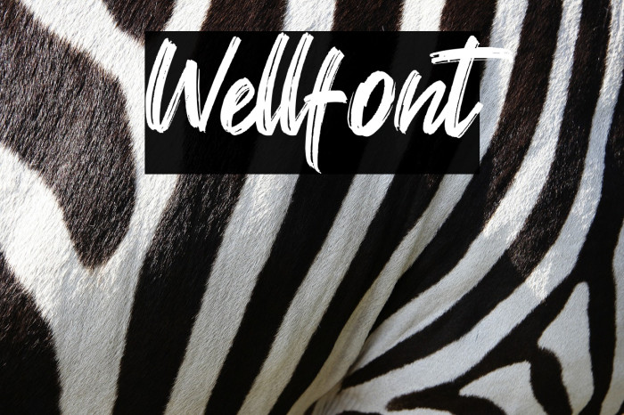 Wellfont Font examples