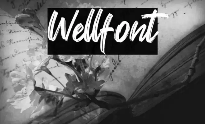 Wellfont Fuentes examples