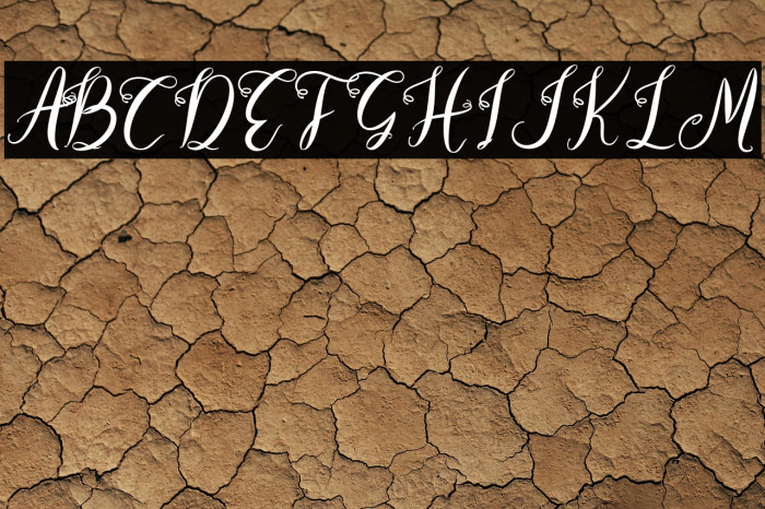 Wellington Regular Example 1