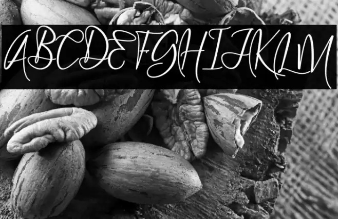 Wellington Font examples