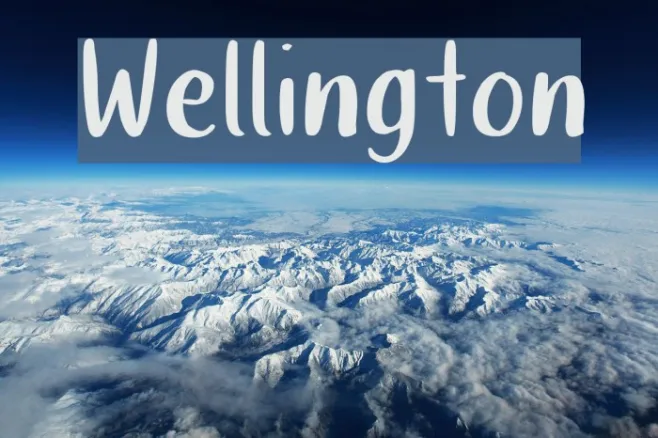 Wellington Example 1