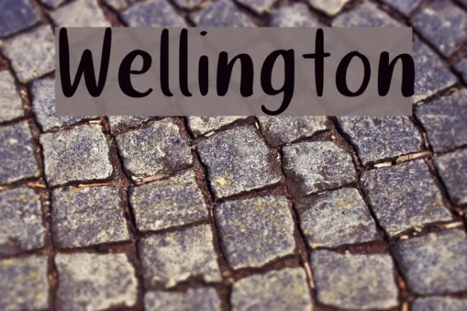 Wellington Example 2