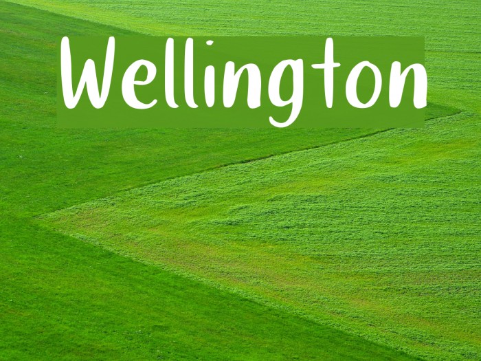 Wellington Font examples