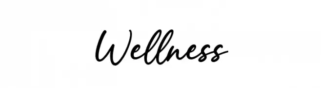 Wellness  Скачать бесплатные шрифты