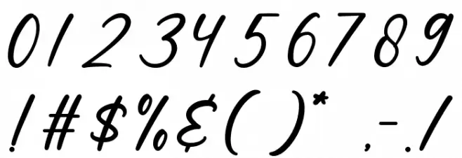 Wellness Font OTHER CHARS