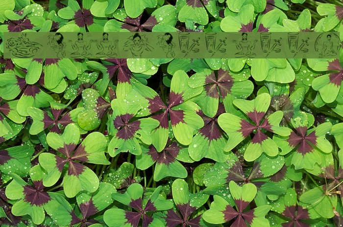 WellnessBoom Font examples