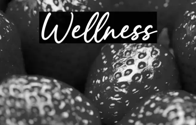 Wellness Font examples