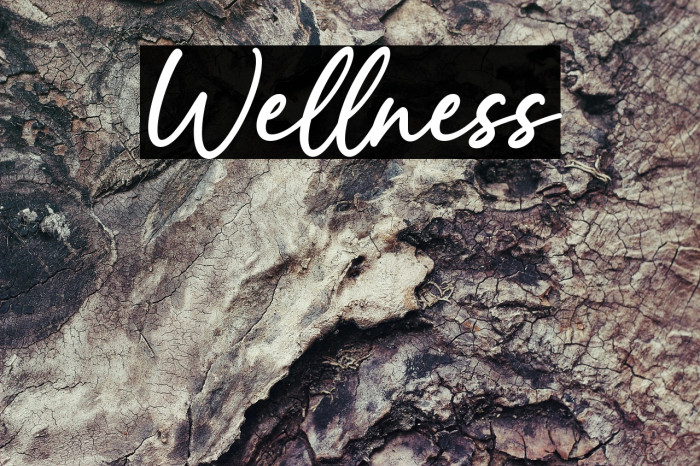 Wellness Example 3