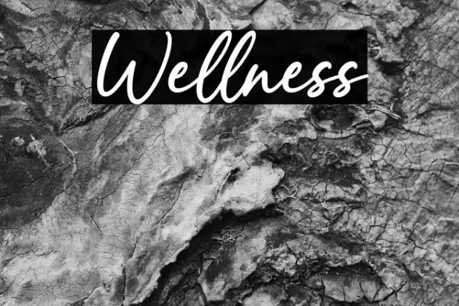 Wellness Font examples