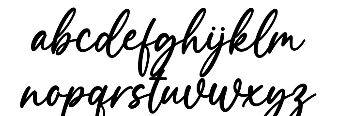 Wellness Font LOWERCASE