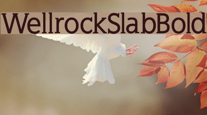 WellrockSlabBold Font examples