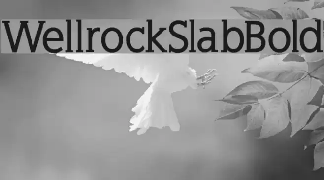 WellrockSlabBold フォント examples