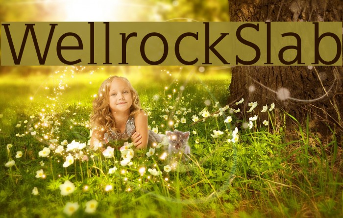 WellrockSlab Font examples