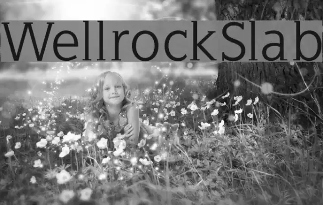 WellrockSlab Schriftart examples