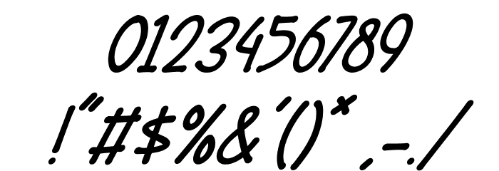 Wellside Italic Font OTHER CHARS