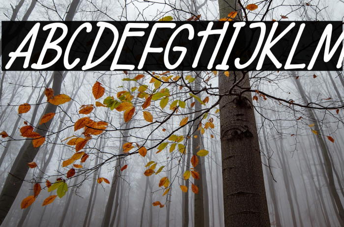 Wellside Italic Example 3