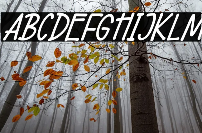 Wellside Italic Example 3