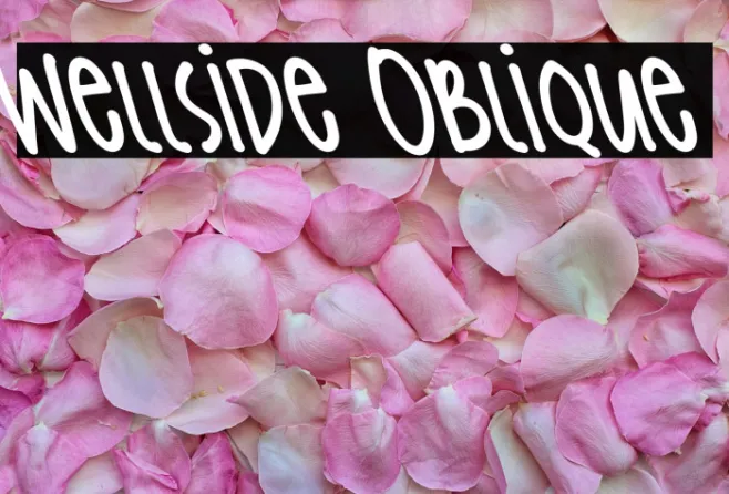 Wellside Oblique Example 2