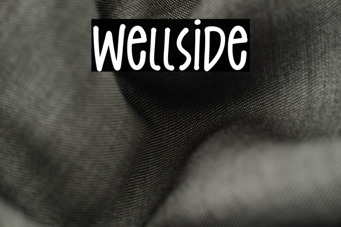 Wellside Example 1