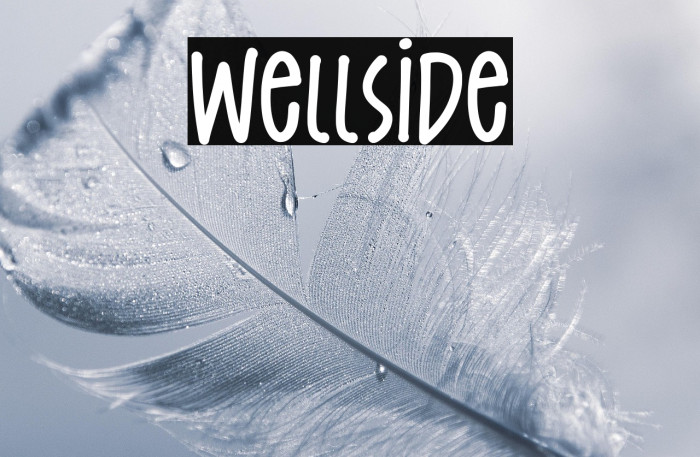 Wellside Example 2