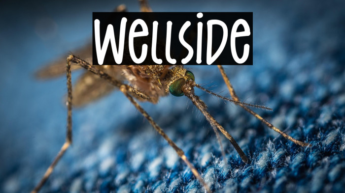 Wellside Example 3