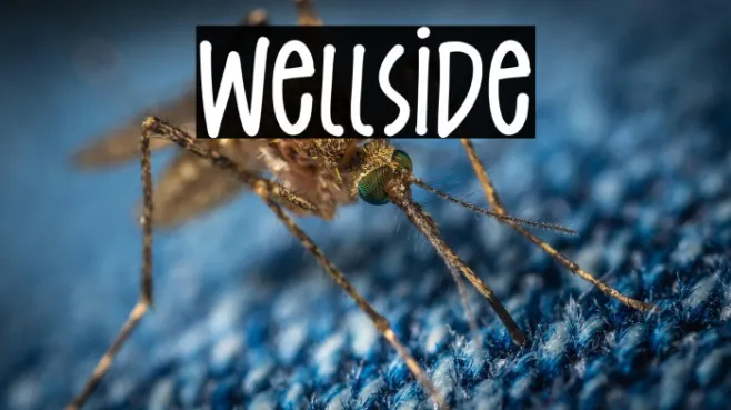 Wellside Example 3