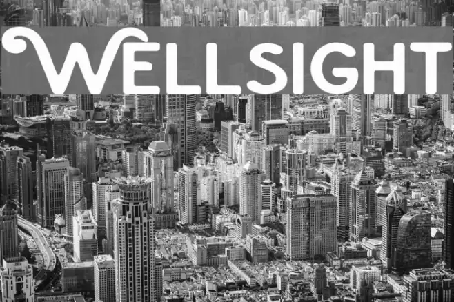 Wellsight Font examples