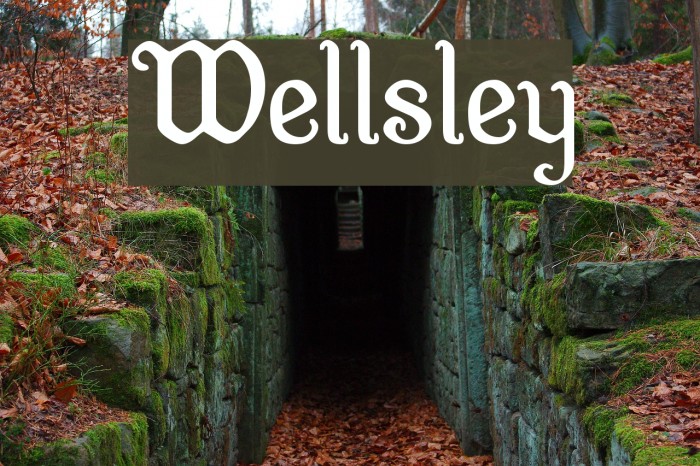 Wellsley Font examples