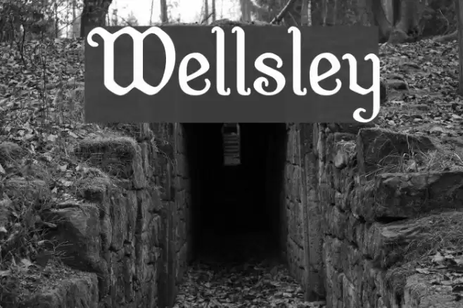 Wellsley Schriftart examples