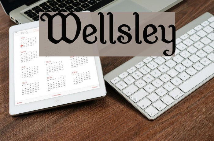 Wellsley Font examples