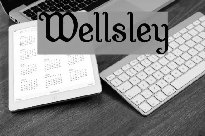 Wellsley Schriftart examples