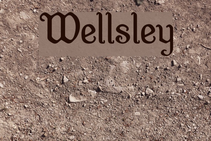 Wellsley Font examples