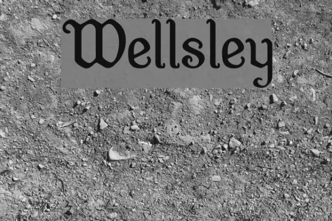 Wellsley Schriftart examples