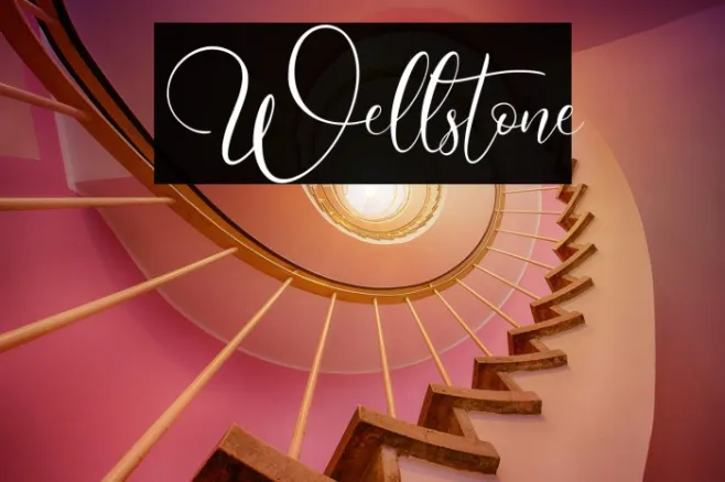 Wellstone Example 1