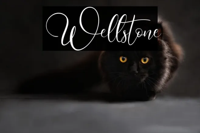Wellstone Example 3