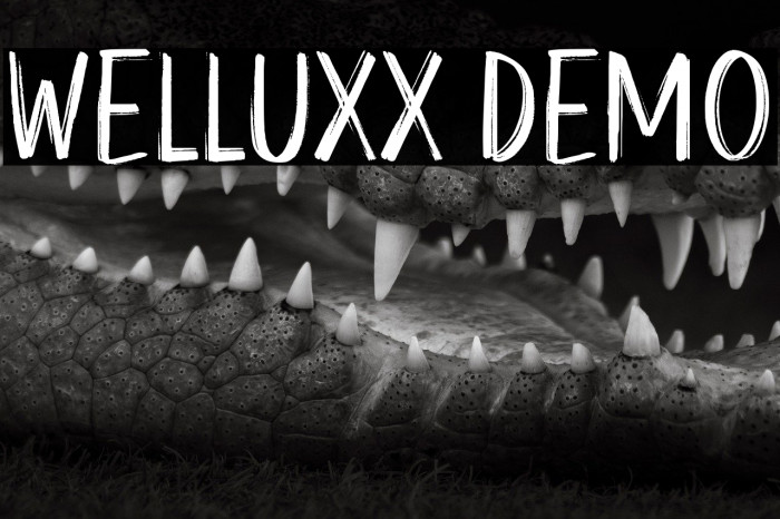 Welluxx Demo Example 1